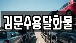 김문수용달화물