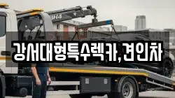 서울 영등포구 양평동1가 렉카, 특수렉카, 차량탁송, 견인운송