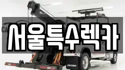 서울특수렉카