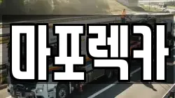 마포렉카