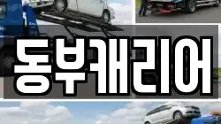 동부캐리어