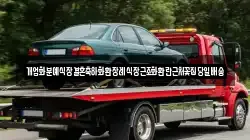 개업화분예식장결혼축하화환장례식장근조화환란근처꽃집당일배송