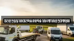 대리운전일일기사대리탁송차량탁송기사수행기사운전대행업체