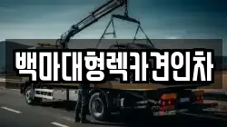 서울 용산구 용산동5가 렉카, 특수렉카, 차량탁송, 견인운송