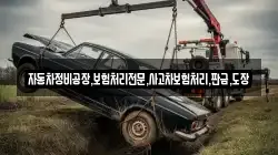 자동차정비공장,보험처리전문,사고차보험처리,판금,도장
