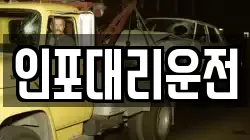 인포대리운전