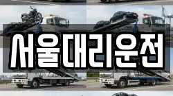 서울대리운전