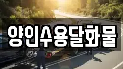 양인수용달화물