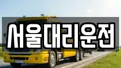 서울대리운전