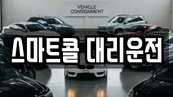 스마트콜 대리운전