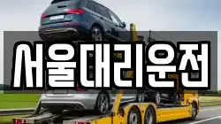 서울대리운전