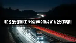 대리운전일일기사대리탁송차량탁송기사수행기사운전대행업체