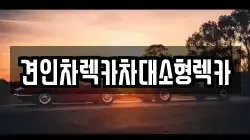 서울 종로구 혜화동 렉카, 특수렉카, 차량탁송, 견인운송