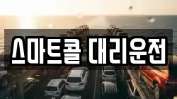 스마트콜 대리운전