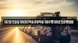 대리운전일일기사대리탁송차량탁송기사수행기사운전대행업체