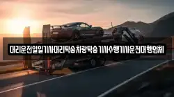 대리운전일일기사대리탁송차량탁송기사수행기사운전대행업체