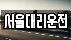 서울대리운전