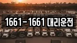 1661-1661 대리운전