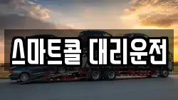 스마트콜 대리운전