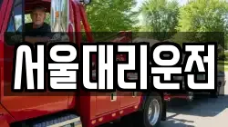 서울대리운전
