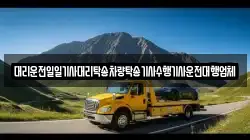 대리운전일일기사대리탁송차량탁송기사수행기사운전대행업체