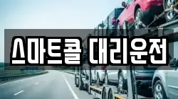 스마트콜 대리운전