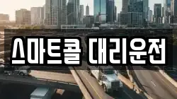 스마트콜 대리운전