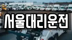 서울대리운전