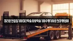 대리운전일일기사대리탁송차량탁송기사수행기사운전대행업체