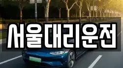 서울대리운전