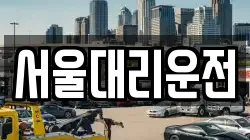 서울대리운전