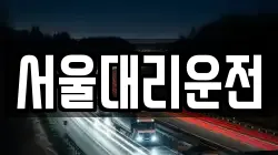 서울대리운전