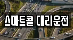 스마트콜 대리운전
