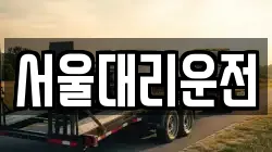 서울대리운전