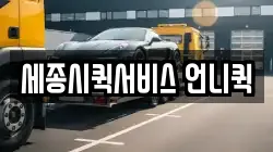 세종시퀵서비스 언니퀵