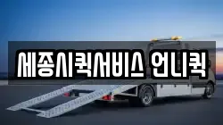 세종시퀵서비스 언니퀵