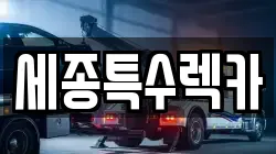 세종특수렉카