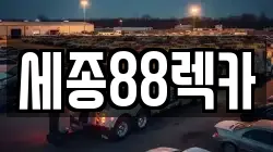 세종특별자치시 금남면 렉카, 특수렉카, 차량탁송, 견인운송