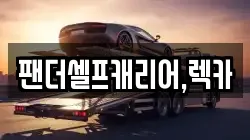 팬더셀프캐리어,렉카