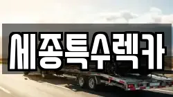 세종특수렉카