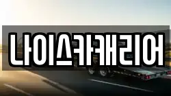 나이스카캐리어