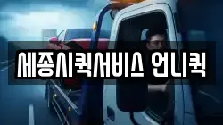 세종시퀵서비스 언니퀵