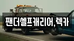 팬더셀프캐리어,렉카