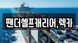 팬더셀프캐리어,렉카