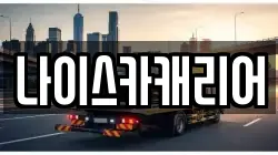 나이스카캐리어