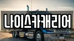 나이스카캐리어