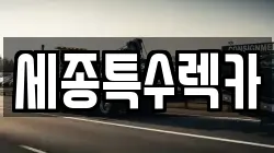 세종특수렉카