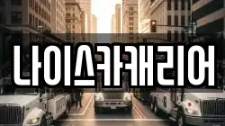 나이스카캐리어