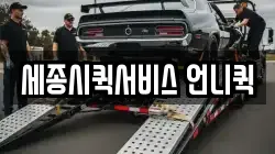 세종시퀵서비스 언니퀵