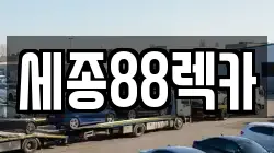 세종특별자치시 세종동 렉카, 특수렉카, 차량탁송, 견인운송
